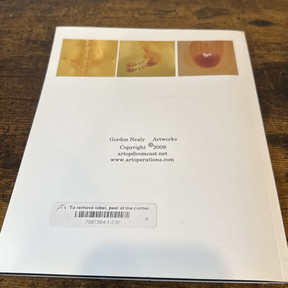 Gordon Nealy Under the Skin 2009 Art Catalogue 32pp Softcover Blurb Edition NEW - Picture 6 of 6